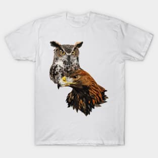 American Owl and American Owl T-Shirt